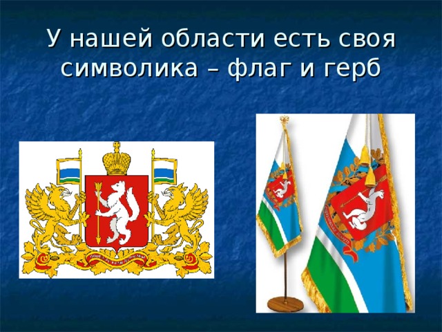 У нашей области есть своя символика – флаг и герб 