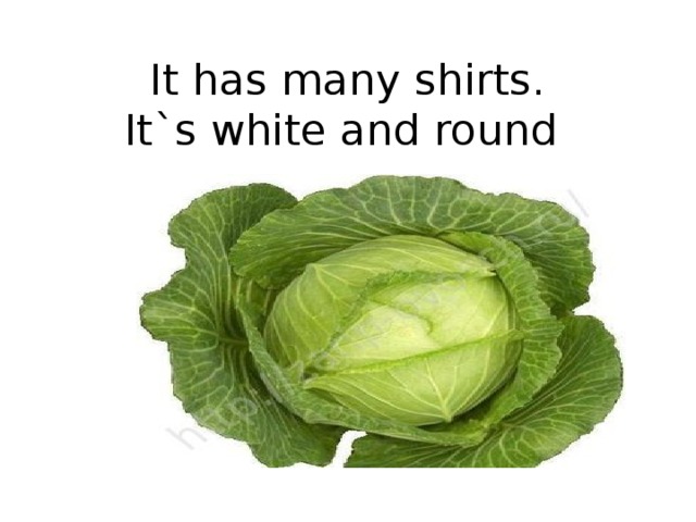 It has many shirts.  It`s white and round   