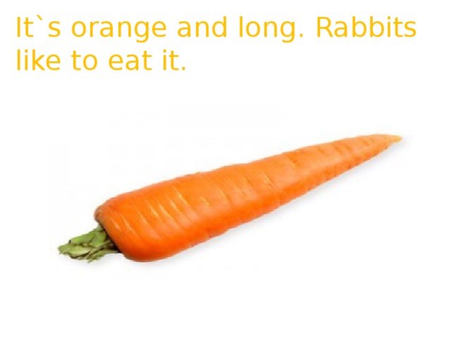 It`s orange and long.  Rabbits like to eat it.      