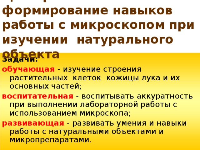 Цель работы: формирование навыков работы с микроскопом при изучении натурального объекта Задачи: обучающая  - изучение строения растительных клеток кожицы лука и их основных частей; воспитательная  - воспитывать аккуратность при выполнении лабораторной работы с использованием микроскопа; развивающая - развивать умения и навыки работы с натуральными объектами и микропрепаратами. 