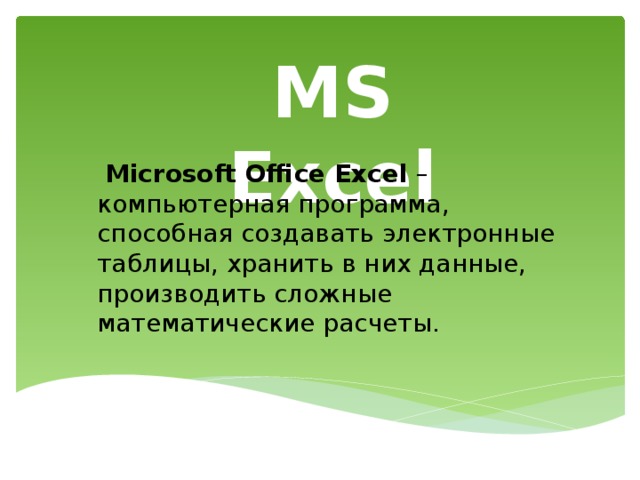 MS Excel  Microsoft Office Excel – компьютерная программа, способная создавать электронные таблицы, хранить в них данные, производить сложные математические расчеты. 