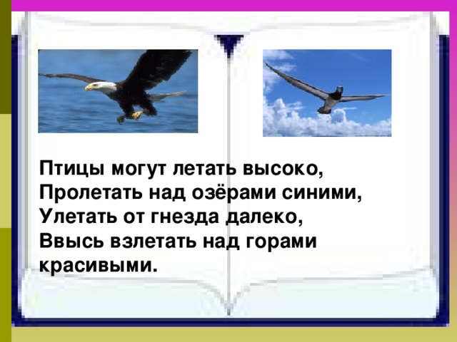 Птицы могут летать высоко, Пролетать над озёрами синими, Улетать от гнезда далеко, Ввысь взлетать над горами красивыми. 