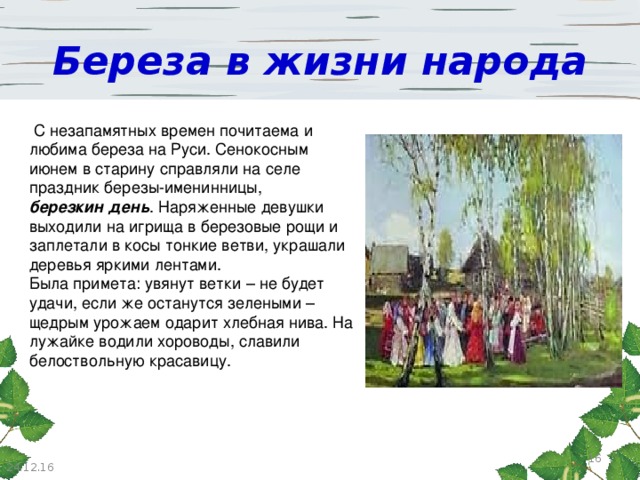 Проект люблю березку русскую