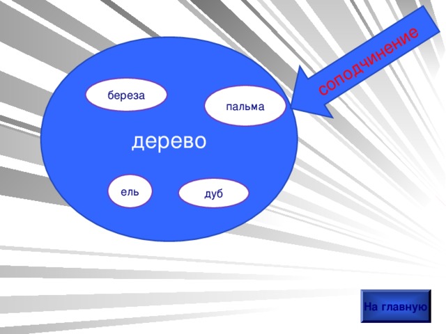 соподчинение дерево береза пальма ель дуб На главную 