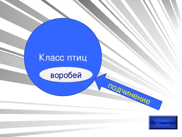 подчинение Класс птиц воробей На главную 