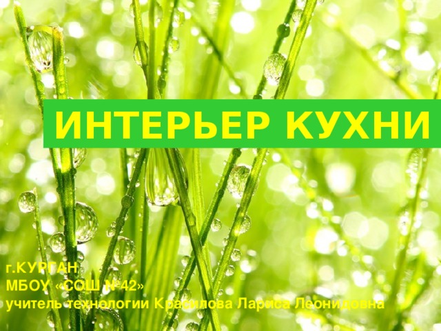 ИНТЕРЬЕР КУХНИ г.КУРГАН МБОУ «СОШ №42» учитель технологии Красилова Лариса Леонидовна 