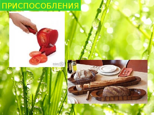 ПРИСПОСОБЛЕНИЯ 