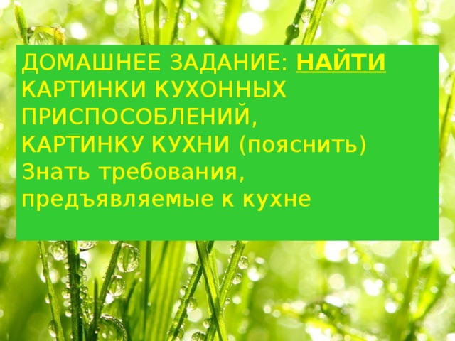 ДОМАШНЕЕ ЗАДАНИЕ: НАЙТИ КАРТИНКИ КУХОННЫХ ПРИСПОСОБЛЕНИЙ, КАРТИНКУ КУХНИ (пояснить) Знать требования, предъявляемые к кухне 