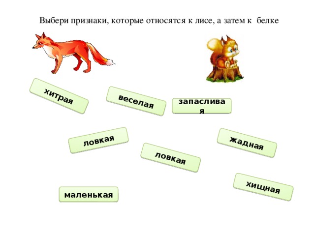 Белка слова признаки. Прилагательное от слова лисица.