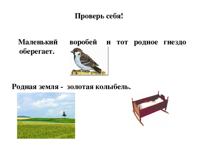 Текст подъезжая к родному гнезду. Родная земля - колыбель. Моя Родина Золотая колыбель. Земля родная колыбель Золотая пословица. Земля родная — колыбель Золотая. Смысл.