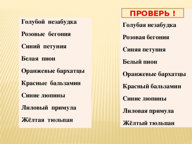 ПРОВЕРЬ !  Голубая незабудка Розовая бегония Синяя петуния Белый пион Оранжевые бархатцы Красный бальзамин Синие люпины Лиловая примула Жёлтый тюльпан Голубой незабудка Розовые бегония Синий петуния Белая пион Оранжевые бархатцы Красные бальзамин Синие люпины Лиловый примула Жёлтая тюльпан 