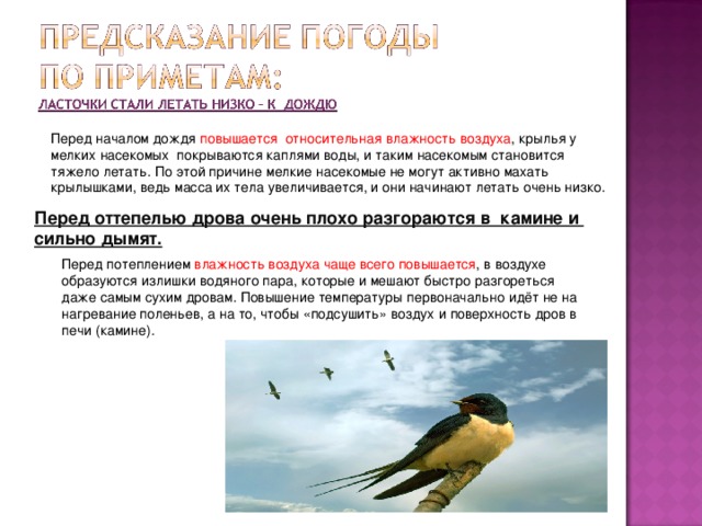 Перед началом дождя повышается относительная влажность воздуха , крылья у мелких насекомых покрываются каплями воды, и таким насекомым становится тяжело летать. По этой причине мелкие насекомые не могут активно махать крылышками, ведь масса их тела увеличивается, и они начинают летать очень низко. Перед оттепелью дрова очень плохо разгораются в камине и сильно дымят. Перед потеплением влажность воздуха чаще всего повышается , в воздухе образуются излишки водяного пара, которые и мешают быстро разгореться даже самым сухим дровам. Повышение температуры первоначально идёт не на нагревание поленьев, а на то, чтобы «подсушить» воздух и поверхность дров в печи (камине).  