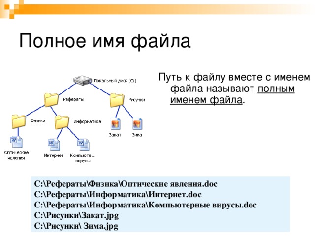 По дереву файловой системы прописать полный путь к файлу компьютерные вирусы doc