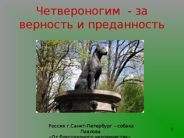 Рассказы о преданности животных. Памятник собаке &quot;от благодарного человечества. памятник собаке павлова. собака верность преданность. рассказ о преданности животных.