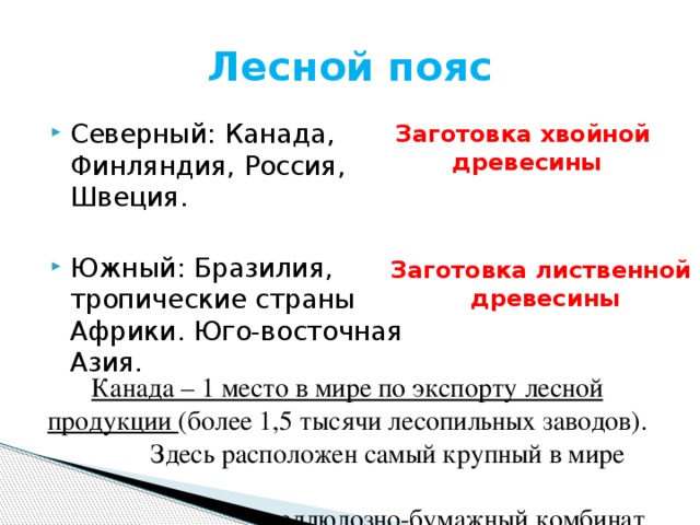 Страны северного лесного пояса. Страны Северного и Южного лесного пояса. Южный Лесной пояс страны. Государства Южного лесного пояса.