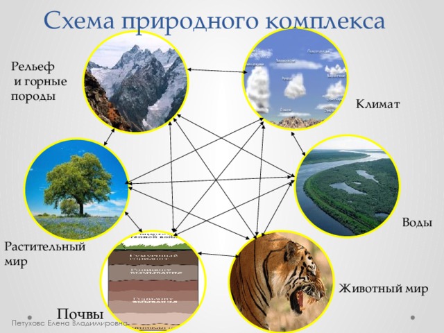 Характеристики компонентов природы. Взаимосвязь компонентов природы. Взаимосвязь компонентов природного комплекса. Природный территориальный комплекс. Классы природных комплексов.
