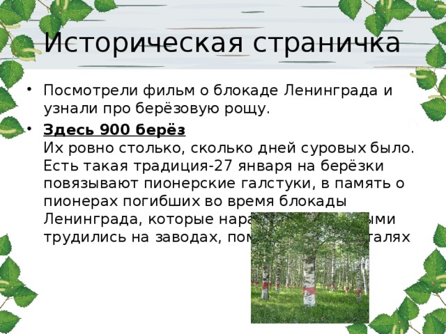 Историческая страничка Посмотрели фильм о блокаде Ленинграда и узнали про берёзовую рощу. Здесь 900 берёз    Их ровно столько, сколько дней суровых было. Есть такая традиция-27 января на берёзки повязывают пионерские галстуки, в память о пионерах погибших во время блокады Ленинграда, которые наравне со взрослыми трудились на заводах, помогали в госпиталях   