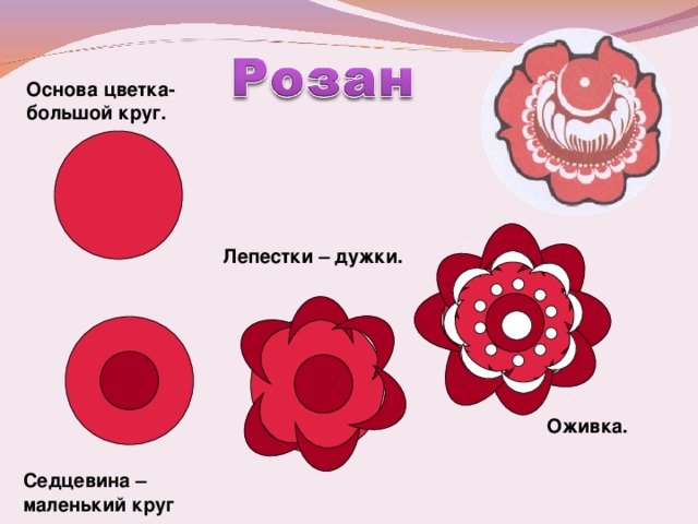 Основа цветка- большой круг. Лепестки – дужки. Оживка. Седцевина – маленький круг 