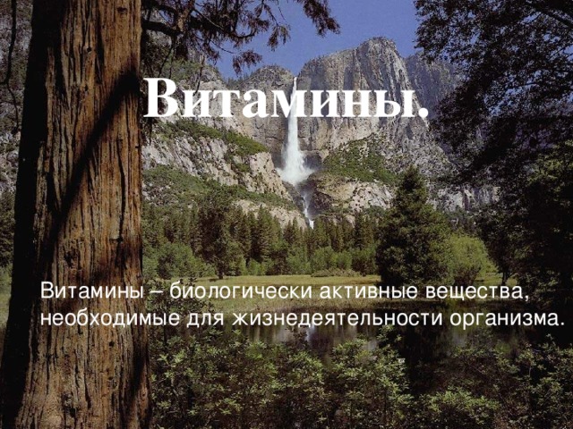 Витамины. Витамины – биологически активные вещества, необходимые для жизнедеятельности организма. 