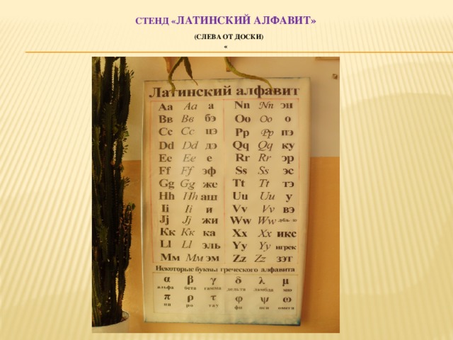 Стенд « латинский алфавит»   (слева от доски)  « 