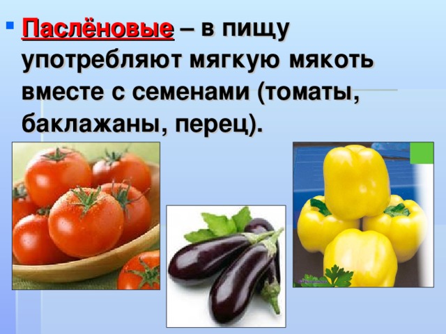 Культурные пасленовые. Паслёновые овощи и фрукты. Продукты семейства пасленовых. Пасленовые это. Пасленовые это какие продукты.