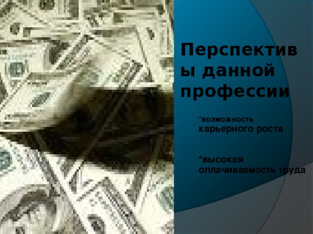 Перспективы данной профессии * возможность карьерного роста   *высокая оплачиваемость труда  