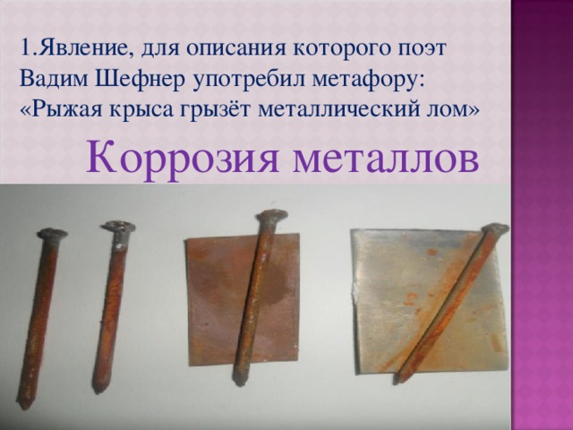 1.Явление, для описания которого поэт Вадим Шефнер употребил метафору: «Рыжая крыса грызёт металлический лом» Коррозия металлов 