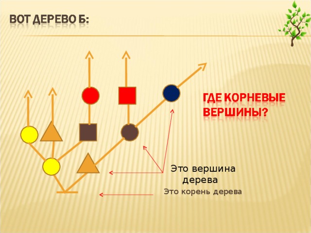 Вершина дерева какая. Корневые вершины дерева Информатика. Вершина дерева в информатике. Корневая вершина дерева. Вершины деревьев.