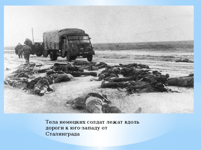 Тела немецких солдат лежат вдоль дороги к юго-западу от Сталинграда 