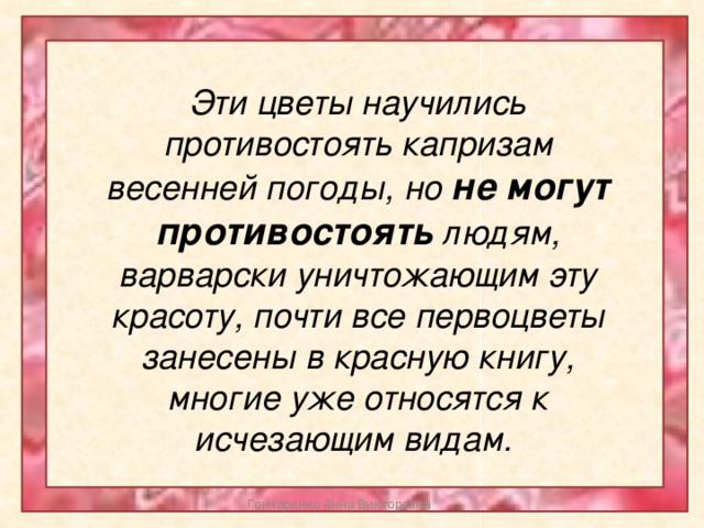 Эти цветы научились противостоять капризам весенней погоды, но не могут противостоять людям, варварски уничтожающим эту красоту, почти все первоцветы занесены в красную книгу, многие уже относятся к исчезающим видам. Гончаренко Анна Викторовна 