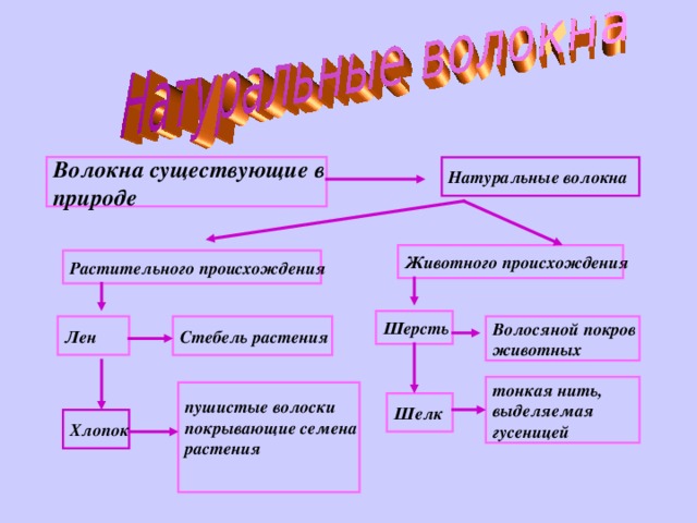 Натуральные волокна Волокна существующие в природе Животного происхождения Растительного происхождения Шерсть Стебель растения Лен Волосяной покров животных тонкая нить, выделяемая гусеницей пушистые волоски покрывающие семена растения  Шелк Хлопок 