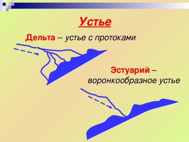 Устье Дельта – устье с протоками Эстуарий  – воронкообразное устье 