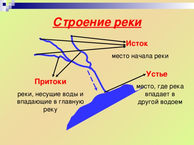 Строение речной