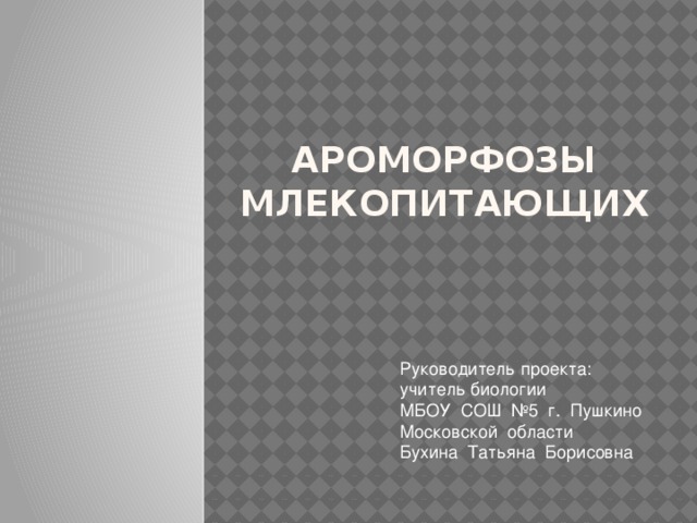 Ароморфозы Млекопитающих  Руководитель проекта:  учитель биологии  МБОУ СОШ №5 г. Пушкино  Московской области  Бухина Татьяна Борисовна 