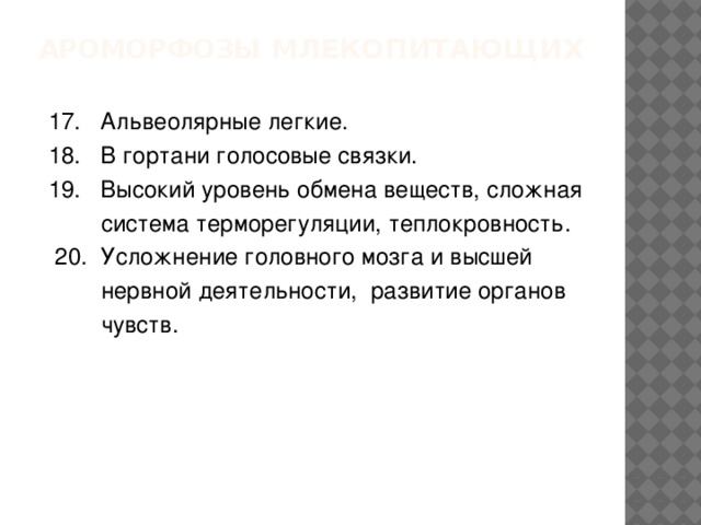 Ароморфозы млекопитающих 17. Альвеолярные легкие. 18. В гортани голосовые связки. 19. Высокий уровень обмена веществ, сложная  система терморегуляции, теплокровность.  20. Усложнение головного мозга и высшей  нервной деятельности, развитие органов  чувств. 