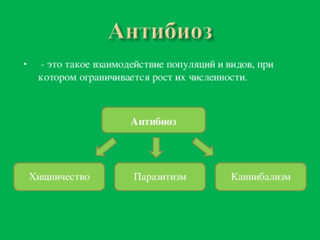 Презентация по биологии антибиоз