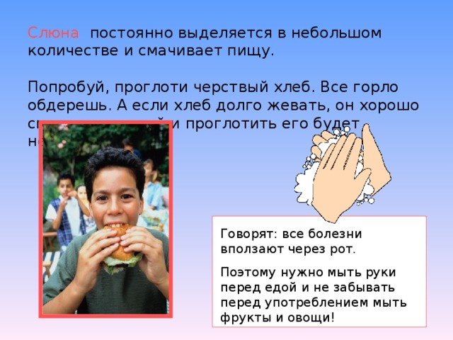 Слюна  постоянно выделяется в небольшом количестве и смачивает пищу.   Попробуй, проглоти черствый хлеб. Все горло обдерешь. А если хлеб долго жевать, он хорошо смочится слюной и проглотить его будет нетрудно. Говорят: все болезни вползают через рот. Поэтому нужно мыть руки перед едой и не забывать перед употреблением мыть фрукты и овощи! 