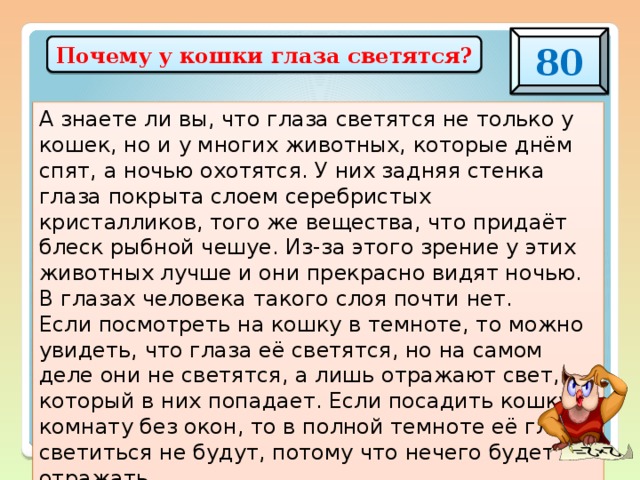 Почему у кошки светятся глаза в темноте. Почему у кошек светятся глаза.