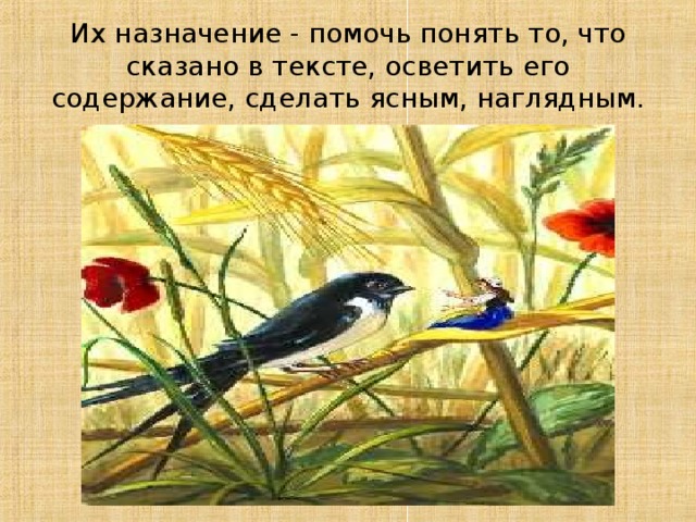 Их назначение - помочь понять то, что сказано в тексте, осветить его содержание, сделать ясным, наглядным. 