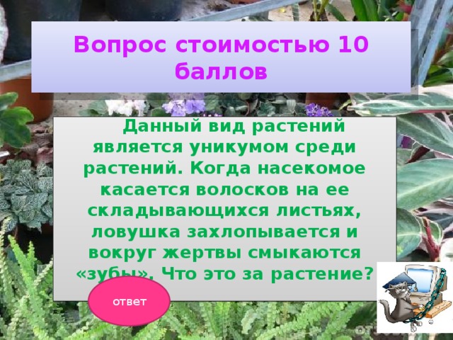Вопрос стоимостью 10 баллов  Данный вид растений является уникумом среди растений. Когда насекомое касается волосков на ее складывающихся листьях, ловушка захлопывается и вокруг жертвы смыкаются «зубы». Что это за растение?  ответ 