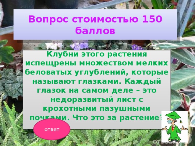 Вопрос стоимостью 150 баллов Клубни этого растения испещрены множеством мелких беловатых углублений, которые называют глазками. Каждый глазок на самом деле – это недоразвитый лист с крохотными пазушными почками. Что это за растение?  ответ 