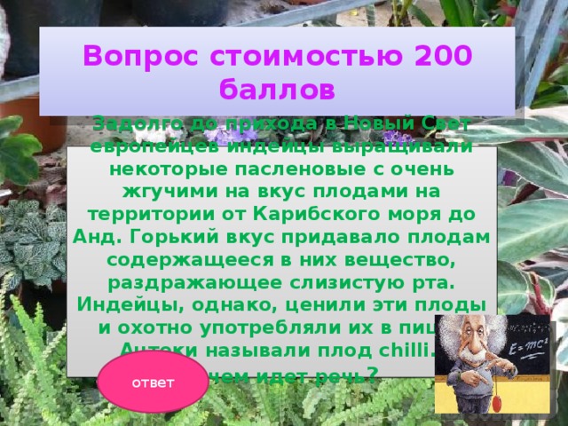 Вопрос стоимостью 200 баллов Задолго до прихода в Новый Свет европейцев индейцы выращивали некоторые пасленовые с очень жгучими на вкус плодами на территории от Карибского моря до Анд. Горький вкус придавало плодам содержащееся в них вещество, раздражающее слизистую рта. Индейцы, однако, ценили эти плоды и охотно употребляли их в пищу. Ацтеки называли плод chilli. О чем идет речь ?  ответ 