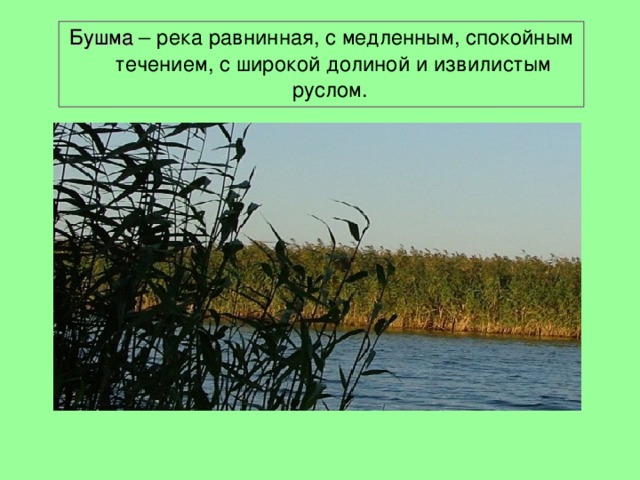 Бушма – река равнинная, с медленным, спокойным течением, с широкой долиной и извилистым руслом. 