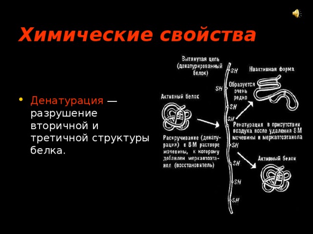 Химические свойства  Денатурация — разрушение вторичной и третичной структуры белка. 