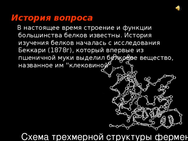 История вопроса  В настоящее время строение и функции большинства белков известны. История изучения белков началась с исследования Беккари (1878г), который впервые из пшеничной муки выделил белковое вещество, названное им ''клековиной''. Схема трехмерной структуры фермента лизоцима 