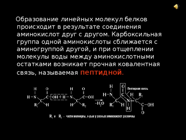 Образование молекул белков