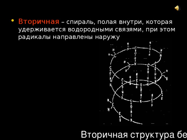 Вторичная – спираль, полая внутри, которая удерживается водородными связями, при этом радикалы направлены наружу  Вторичная структура белка 