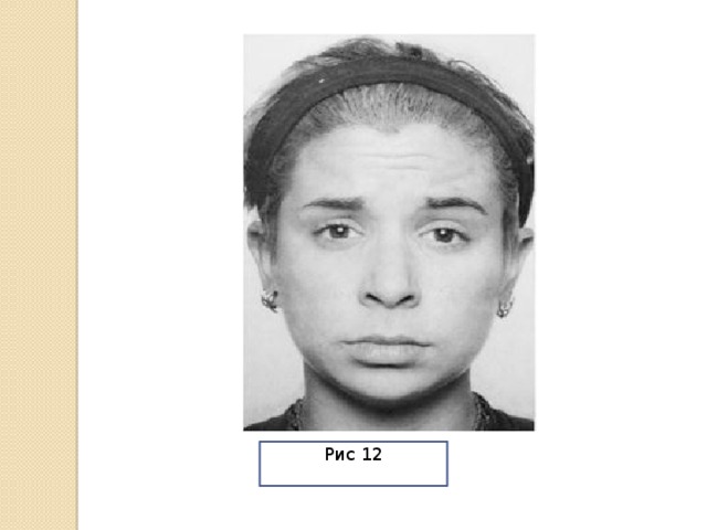 Рис 12 