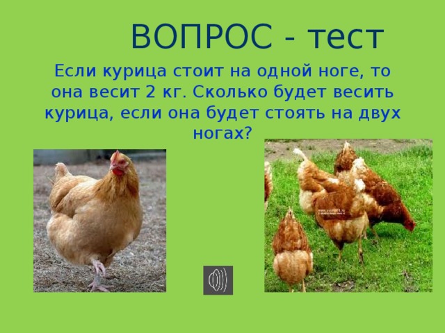  ВОПРОС - тест Если курица стоит на одной ноге, то она весит 2 кг. Сколько будет весить курица, если она будет стоять на двух ногах? А) 7 кг Б) 4 кг В) 9 кг Г) 2 кг 