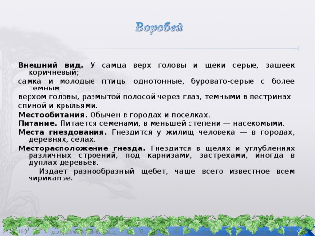 Внешний вид. У самца верх головы и щеки серые, зашеек коричневый; самка и молодые птицы однотонные, буровато-серые с более темным верхом головы, размытой полосой через глаз, темными в пестринах спиной и крыльями. Местообитания. Обычен в городах и поселках. Питание. Питается семенами, в меньшей степени — насекомыми. Места гнездования. Гнездится у жилищ человека — в городах, деревнях, селах. Месторасположение гнезда. Гнездится в щелях и углублениях различных строений, под карнизами, застрехами, иногда в дуплах деревьев.   Издает разнообразный щебет, чаще всего известное всем чириканье.    24.12.16  http://www.deti-66.ru/ 